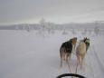 A journey through an unspoiled arctic wilderness of incredible beauty